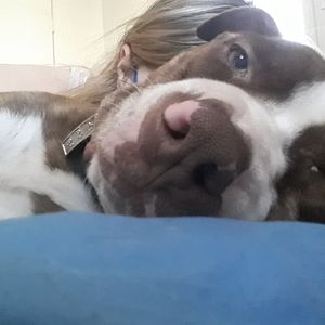 Meet your Posher, Abigail